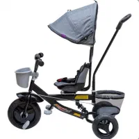 سه چرخه دلیجان|دوچرخه، اسکیت، اسکوتر|شوش, |دیوار