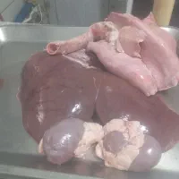 گوشت بره|خوردنی و آشامیدنی|خوسف, |دیوار