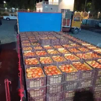 حمل بار و جابجای اثاث منزل و مبلمان و غیره|خدمات حمل و نقل|بم, |دیوار