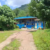 ویلای جنگلی کنار رودخانه