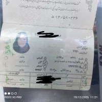 پیدا شدهدر شیراز