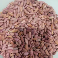 لوبیا کپسولی 280