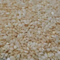 چلتوک نمونه رسمی