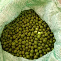 آبغوره درجه یک