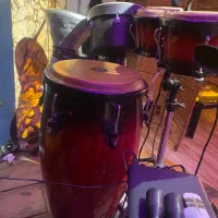 کونگا ماینل اصل سایز ۱۲|درام و پرکاشن|بابلسر, |دیوار