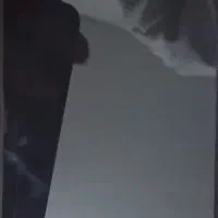 گوشی آیفون ۱۳ پرومکس حافظه ۲۵۶ باطری ۸۹