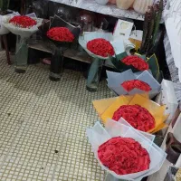 دسته گل رز 20شاخه ای و50تا شاخه ای|گل و گیاه طبیعی|کرمان, |دیوار