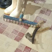 سرگرمی وفراغت