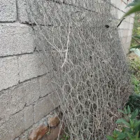 فنس گاوین درجه یک