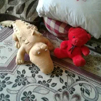 عروسک بچه|اسباببازی بچه|شیراز, لاله|دیوار