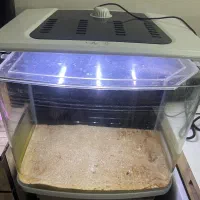 شیشه آکواریوم خانگی لوکس|ماهی|کیش, |دیوار