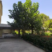 نهال پالونیا