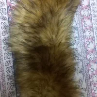 یقه خز|لباس|کرج, شاهینویلا|دیوار