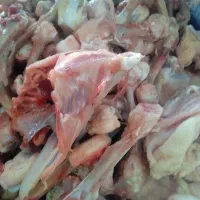 اسکلت  با قیمت روزی 50ک|عمده‌فروشی|تهران, وصفنارد|دیوار