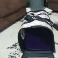 کیف حمل سگ و گربه