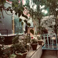 ظرفشور برای رستوران هفت باغ