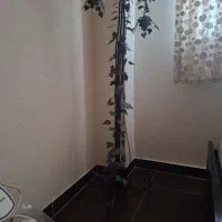 چراغ خواب اباژر