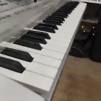 کیبورد|پیانو، کیبورد، آکاردئون|شیراز, کوشک میدان|دیوار
