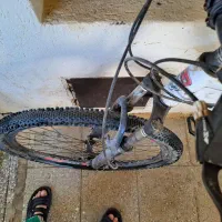 دوچرخه حرفه ای سایز ۲۹