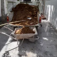 کلیه خدمات باغبانی و کشاورزی|خدمات باغبانی و درختکاری|مشهد, حرم مطهر رضوی|دیوار