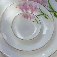سرویس آرکوپال آمریکایی (معروف به چینی پیرکس)