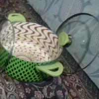 قابلمه|ظروف پخت‌وپز|زابل, |دیوار