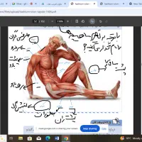 تدریس خصوصی فیزیک علوم تجربی  و زیست شناسی