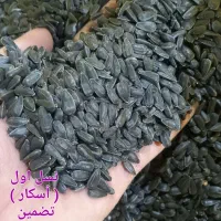 آفتاب گردان بذری