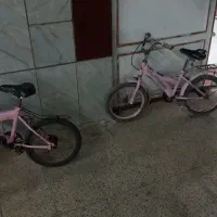 دوعدوچرخه ۱۶صورتی