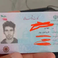 پیدا شده