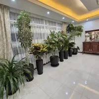 161 متر نوساز فول سندار زیر قیمت نسترن زوج|فروش آپارتمان|گلستان (تهران), |دیوار