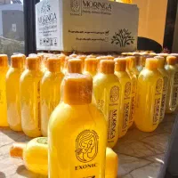 شامپو مورینگا ، بمب پر پشتی و رویش مجدد اصلی