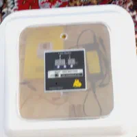 دستگاه جوجه کشی|لوازم جانبی حیوانات|اردبیل, |دیوار