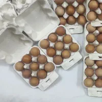 تخم مرغ محلی رسمی زرده طلا تازه و طبیعی قم|خوردنی و آشامیدنی|قم, کلهری|دیوار