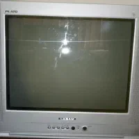 تلویزیون
