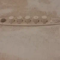 هود|هود|مراغه, |دیوار