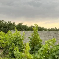 باغچه باغ قدیمی/بدون خاکی/برق و آب/تک برگ|فروش زمین و ملک کلنگی|شهریار, شهریار|دیوار