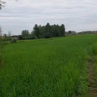 فروش ۲۰۰۰ متری