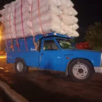 کاه گندم