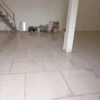 به دنبال شریک و سرمایه گذار برای کارگاه قارچ