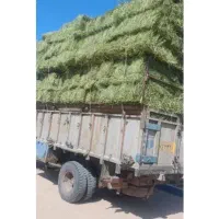 یونجه درجه یک