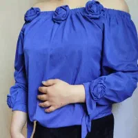 چهار عدد شومیز مجلسی|لباس|رباط‌کریم, رباط‌کریم|دیوار