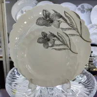 سرویس آرکوپال 25 پارچه 6 نفره|ظروف سرو و پذیرایی|اهواز, کمپلو جنوبی|دیوار