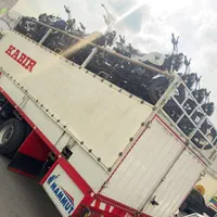موتورABSباکسرcc۲۰۰کبیرkldکی ال دی مدل۱۴۰۴صفر بوکسر|موتورسیکلت|تهران, عباس‌آباد|دیوار