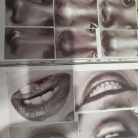 آلبوم عکس برای طراحی پرتره|تابلو، نقاشی، عکس|رودهن, |دیوار