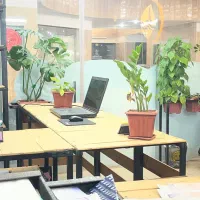 استخدام کارمند خانم