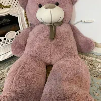 عروسک خرس شاسخی