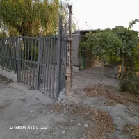 باغ انگور بادرختان بادام وغیره|فروش دفتر صنعتی، کشاورزی، تجاری|بشاریات, |دیوار