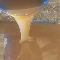 عسل کنار خالص یک تن ۳۹۰|خوردنی و آشامیدنی|شیراز, زیباشهر|دیوار