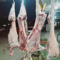 گوشت گرم ۹۸۰